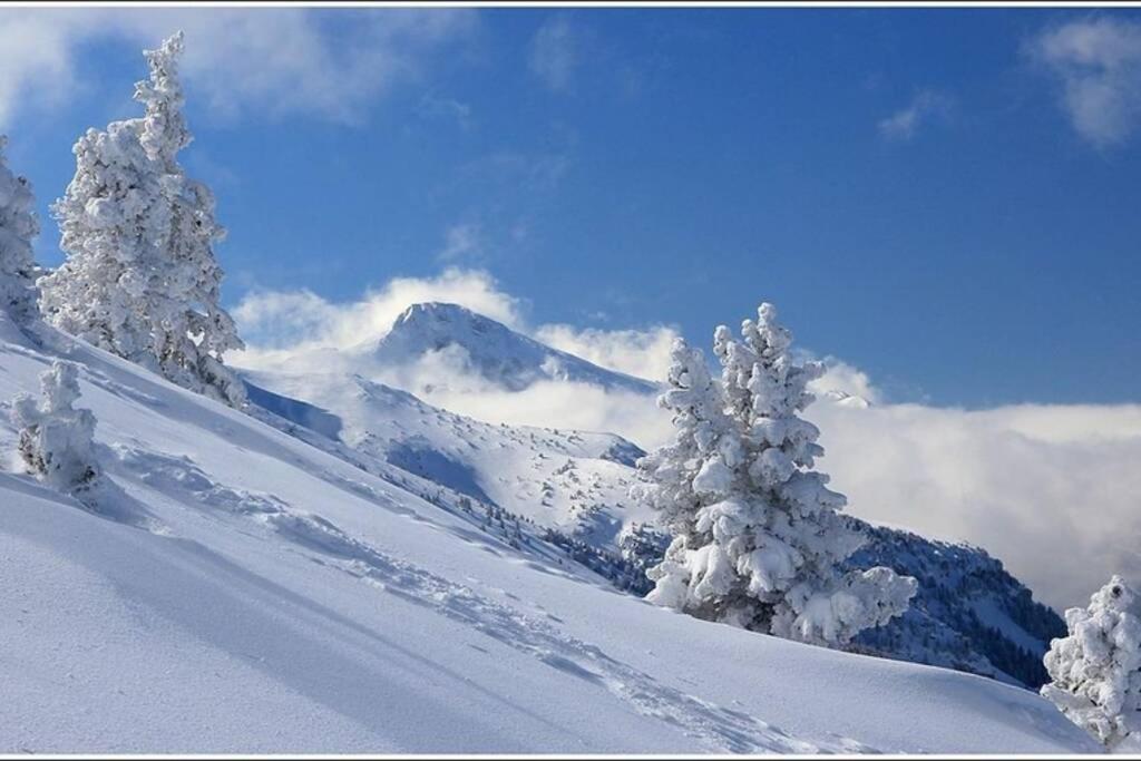 Studio Cosy Au Coeur Du Village Pour 4 Personnes Lans-en-Vercors Exteriör bild